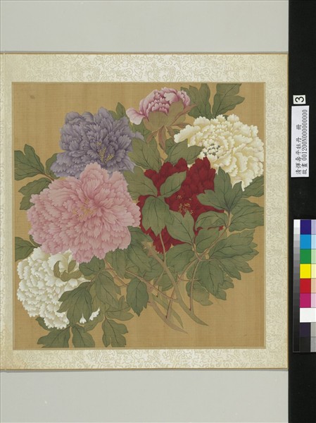 清惲壽平牡丹　冊　牡丹（三）