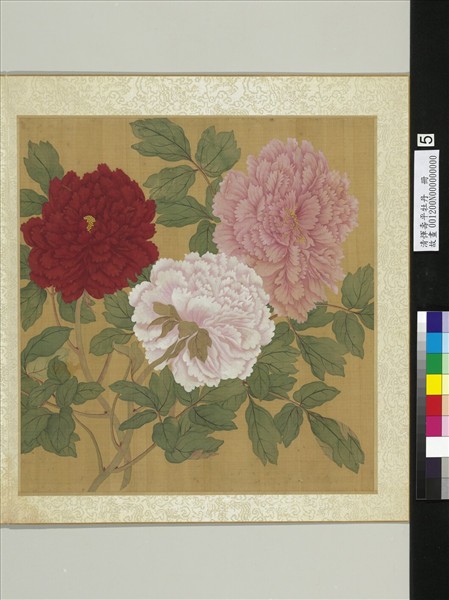 清惲壽平牡丹　冊　牡丹（五）