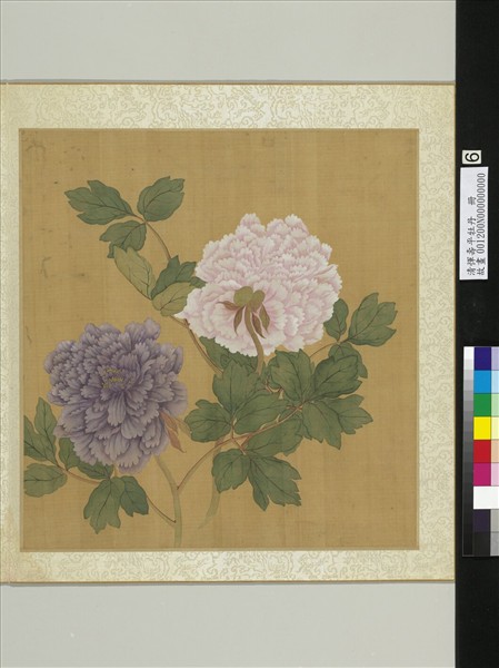清惲壽平牡丹　冊　牡丹（六）