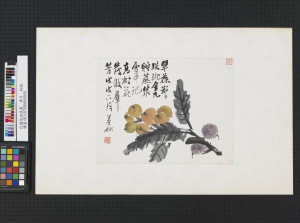 清倪田蔬果　單片　枇杷