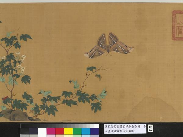 五代後蜀滕昌祐蝶戲長春圖　卷