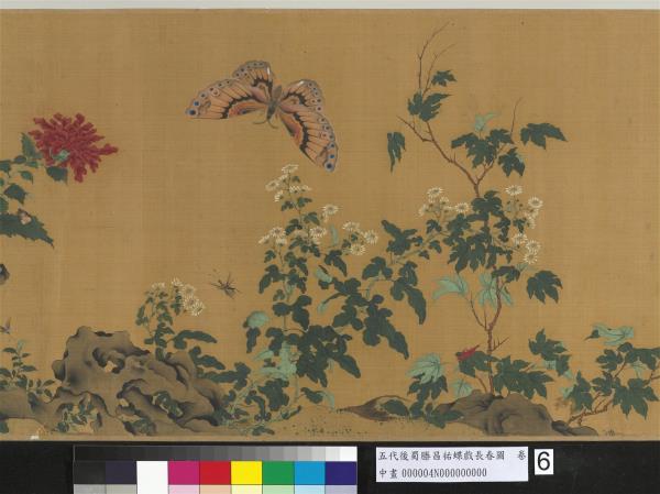 五代後蜀滕昌祐蝶戲長春圖　卷