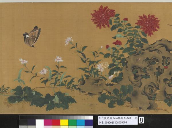 五代後蜀滕昌祐蝶戲長春圖　卷