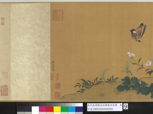 五代後蜀滕昌祐蝶戲長春圖　卷