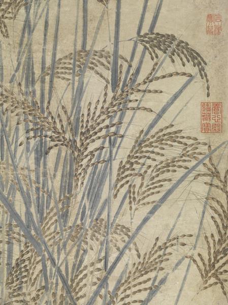 元人嘉禾圖　軸