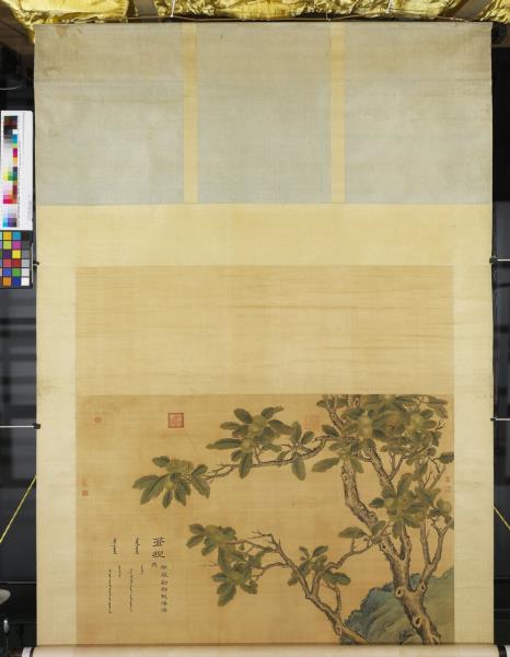 清郎世寧畫十駿犬蒼猊犬　軸