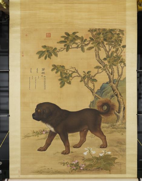 清郎世寧畫十駿犬蒼猊犬　軸