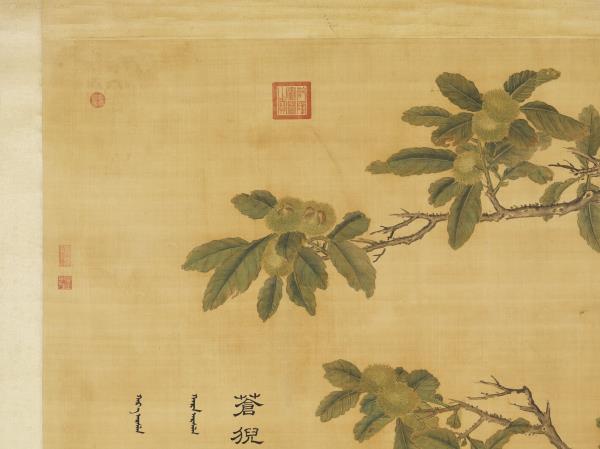 清郎世寧畫十駿犬蒼猊犬　軸