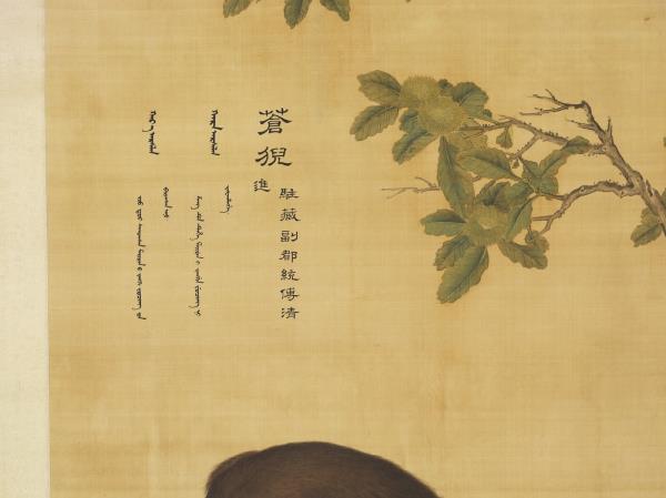 清郎世寧畫十駿犬蒼猊犬　軸