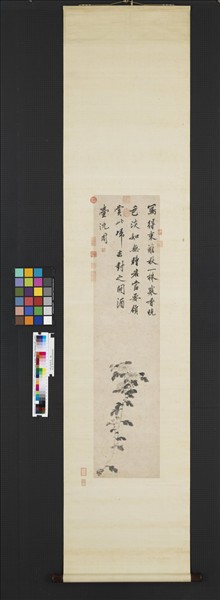 明沈周墨菊　軸