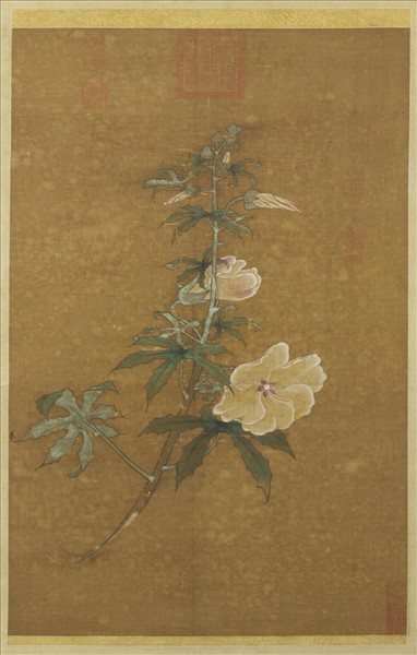 元人折枝秋葵　軸