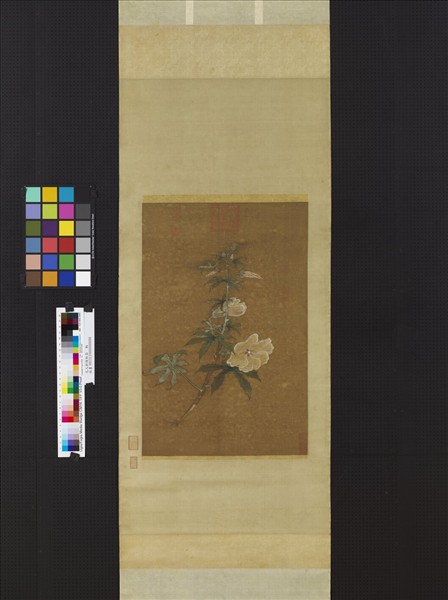 元人折枝秋葵　軸