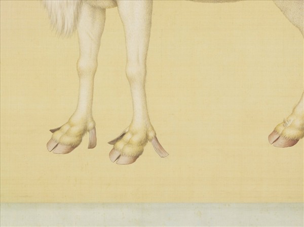 清東海馴鹿圖　軸