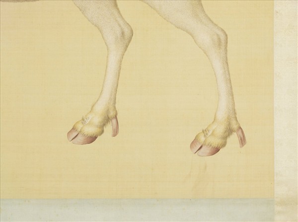 清東海馴鹿圖　軸