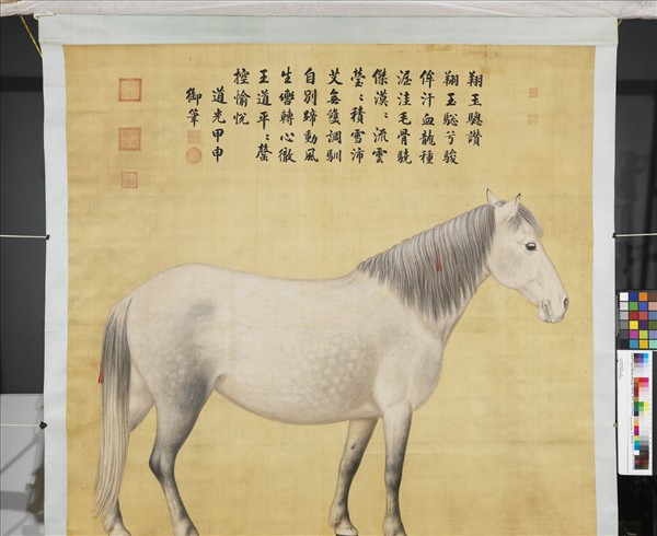 清宣宗御題畫馬　軸