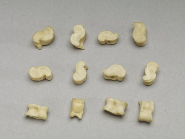 「嘎拉哈」骨節