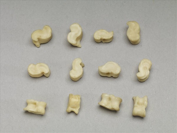 「嘎拉哈」骨節