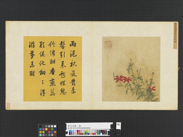 集古名繪　冊　明朱芝垝時花蛺蝶