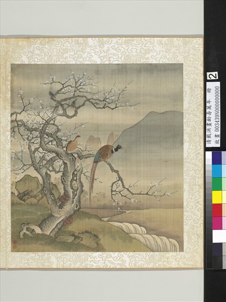 清戴洪畫齡壽萬年　冊　綿雉老梅