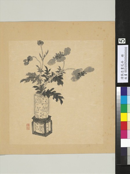 清張忠畫花卉　冊　罌粟