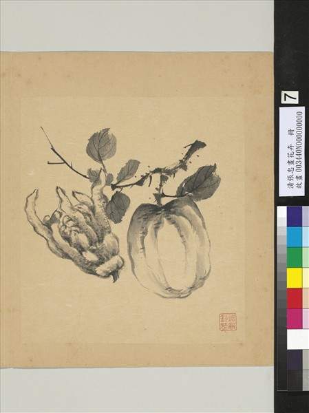 清張忠畫花卉　冊　佛手