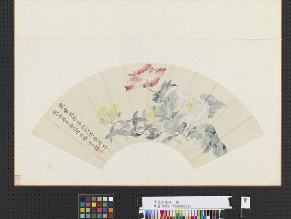 清花卉畫冊　冊　清惲壽平虞美人