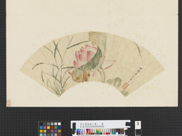 名人畫扇面（庚）　冊　清唐光蓮花寫生