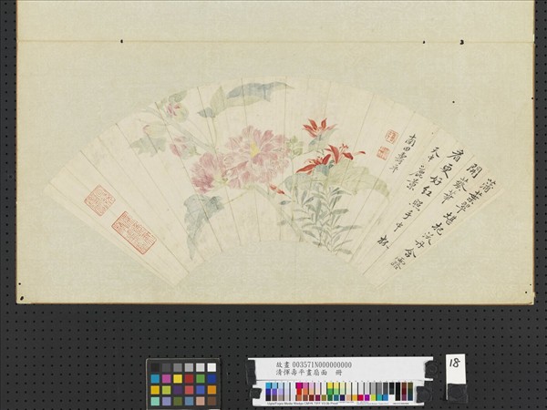 清惲壽平畫扇面　冊　蜀葵沃丹