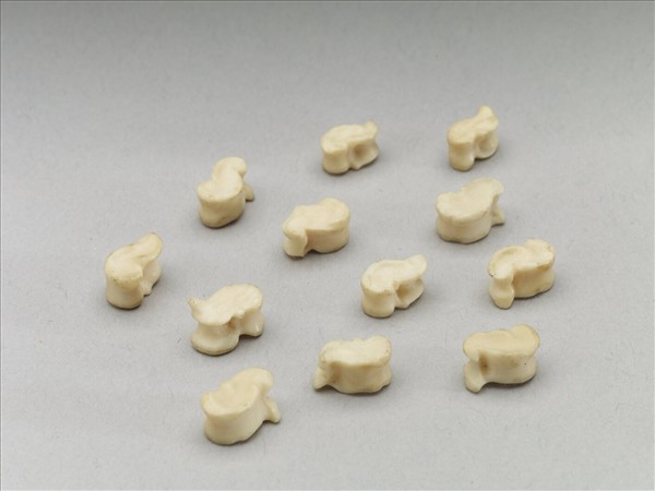 「嘎拉哈」骨節