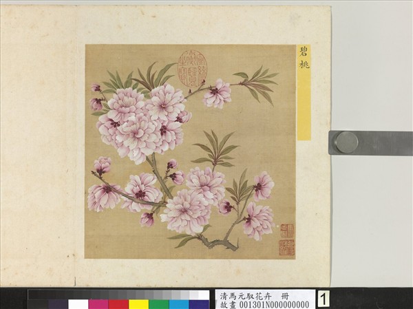 清馬元馭花卉　冊　碧桃