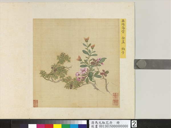 清馬元馭花卉　冊　海棠金盞柏子