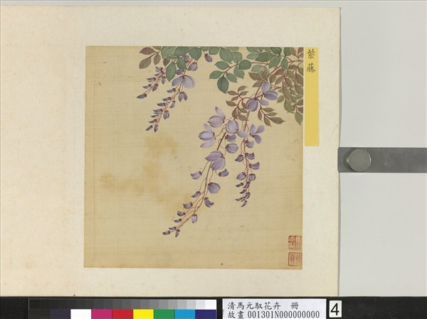清馬元馭花卉　冊　紫藤