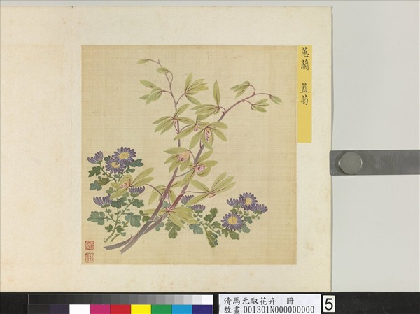 清馬元馭花卉　冊　蕙蘭藍菊