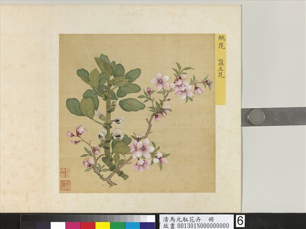清馬元馭花卉　冊　桃花蠶豆花