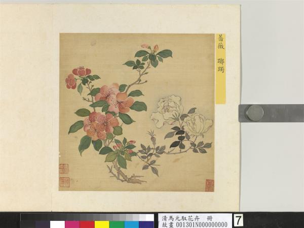 清馬元馭花卉　冊　薔薇躑躅