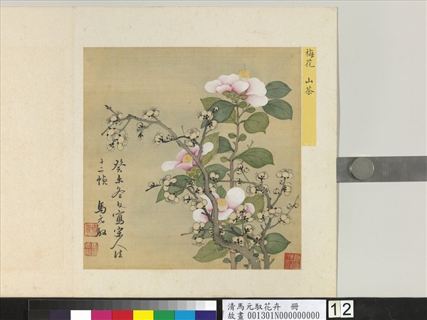 清馬元馭花卉　冊　梅花山茶