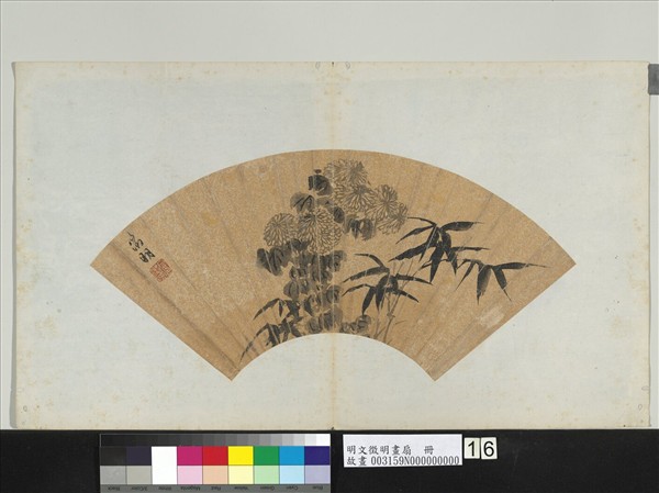 明文徵明畫扇　冊　菊花