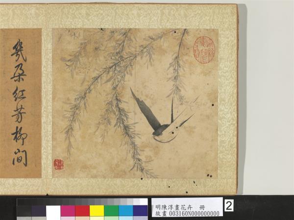 明陳淳畫花卉　冊　桃花