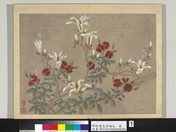 明林達花卉翎毛　冊　辛夷石竹