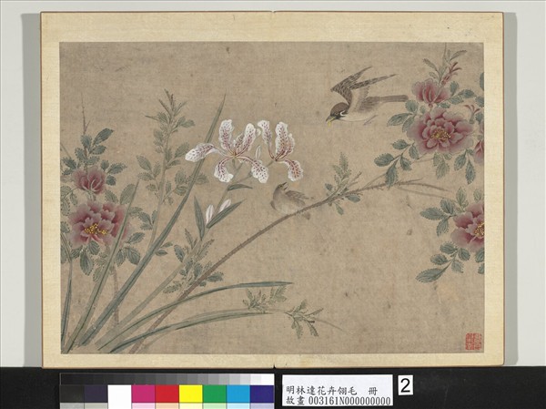 明林達花卉翎毛　冊　月季麻雀