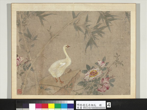 明林達花卉翎毛　冊　月季竹鵝