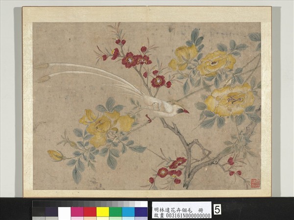 明林達花卉翎毛　冊　桃花壽帶