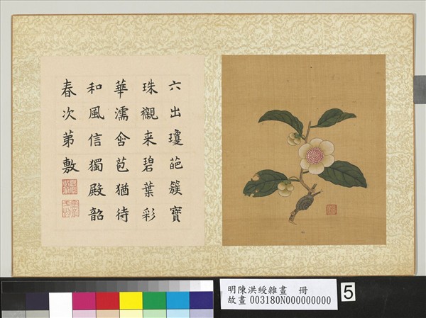 明陳洪綬雜畫　冊　山茶