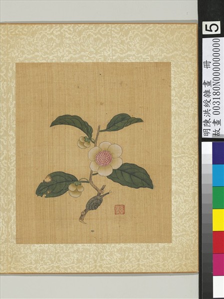 明陳洪綬雜畫　冊　山茶