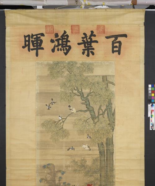 清楊大章畫鳳凰梧桐　軸