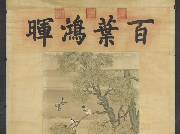 清楊大章畫鳳凰梧桐　軸