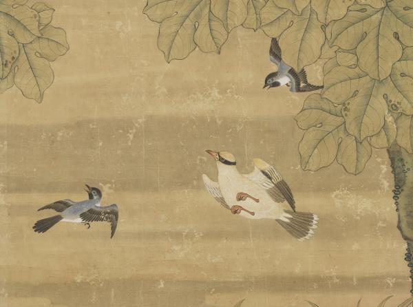 清楊大章畫鳳凰梧桐　軸