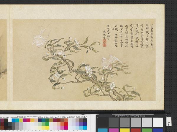 明人畫幅集冊　冊　明朱承綵梨花白燕