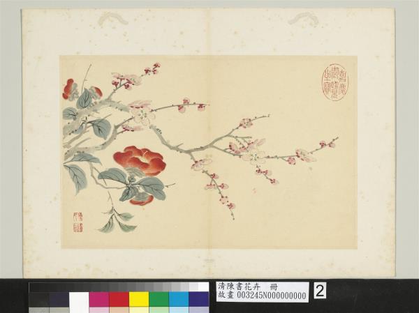 清陳書花卉　冊　紅梅茶花