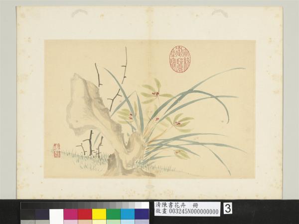 清陳書花卉　冊　奇石幽蘭